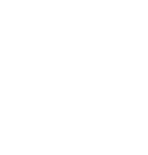 CENTRIFUGAL FAN - LOW PRESSURE